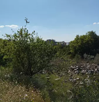 Foto annuncio 6