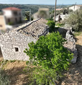 Foto annuncio 7