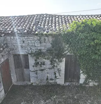 Foto annuncio 11