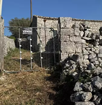 Foto annuncio 12