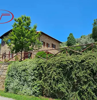 Foto annuncio 4