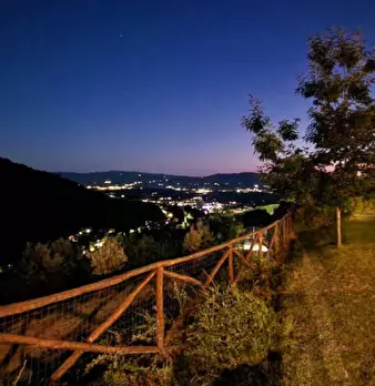 Foto annuncio 26