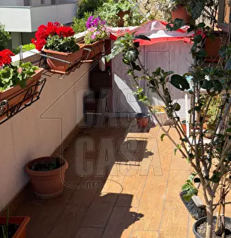 Foto annuncio 31