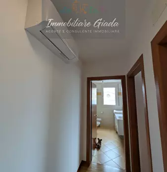 Foto annuncio 17