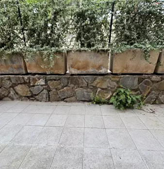Foto annuncio 29