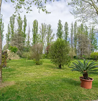 Foto annuncio 87