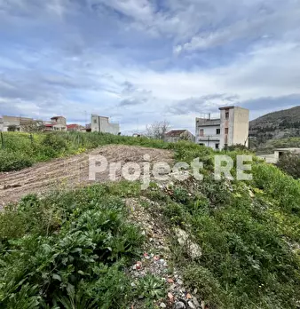 Foto annuncio 35