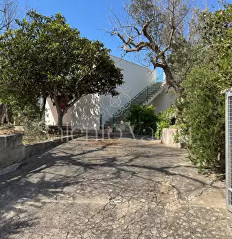 Foto annuncio 9