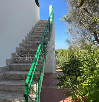Foto annuncio 18