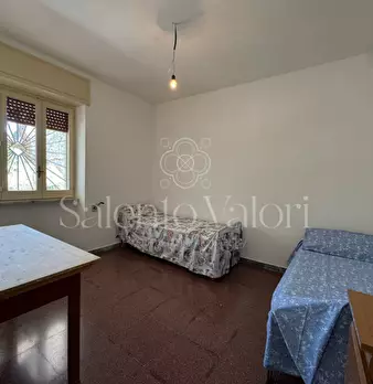 Foto annuncio 28