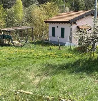 Foto annuncio 10