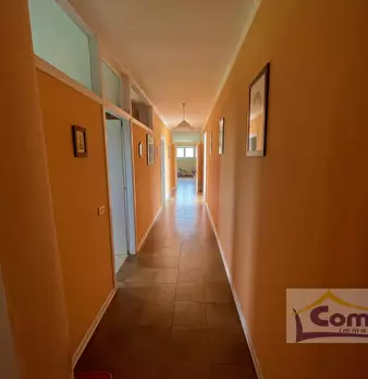 Foto annuncio 12