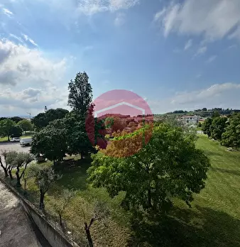 Foto annuncio 14