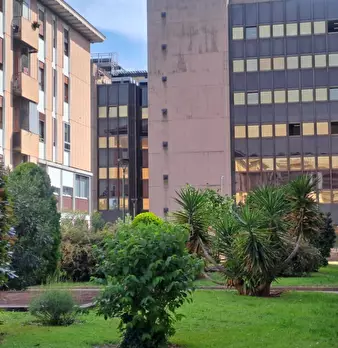 Foto annuncio 1