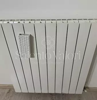 Foto annuncio 10