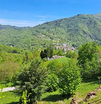Foto annuncio 8