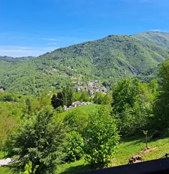 Foto annuncio 9