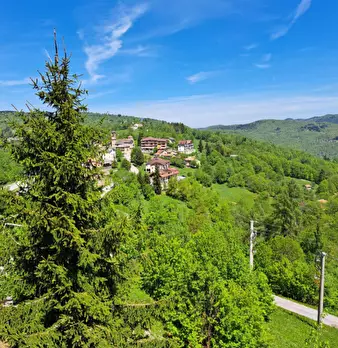 Foto annuncio 11