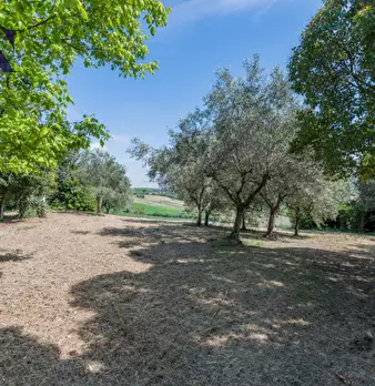Foto annuncio 43