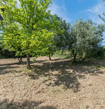 Foto annuncio 52