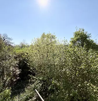 Foto annuncio 42