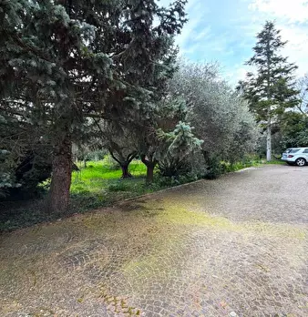 Foto annuncio 3