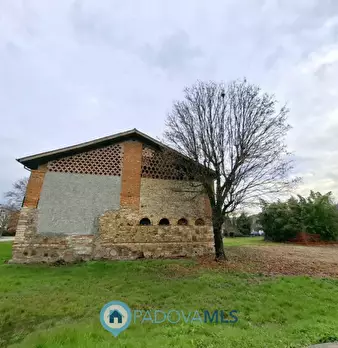 Foto annuncio 37