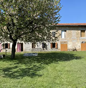 Foto annuncio 4