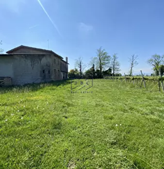 Foto annuncio 6