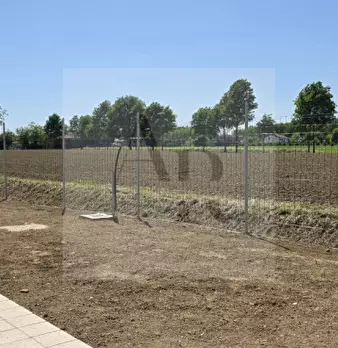 Foto annuncio 12