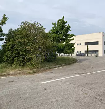 Foto annuncio 8