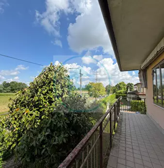 Foto annuncio 29