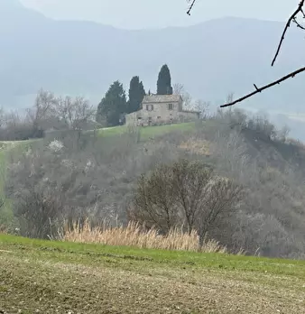 Foto annuncio 4