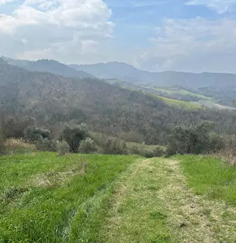 Foto annuncio 6