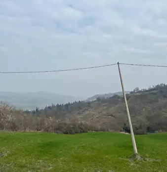 Foto annuncio 7