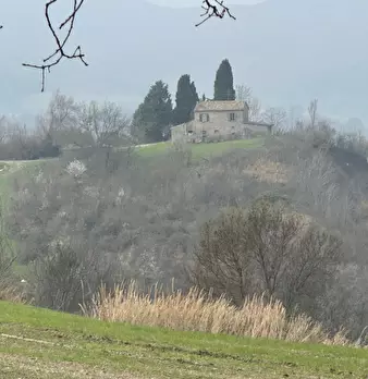 Foto annuncio 8