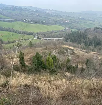 Foto annuncio 9