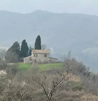 Foto annuncio 12