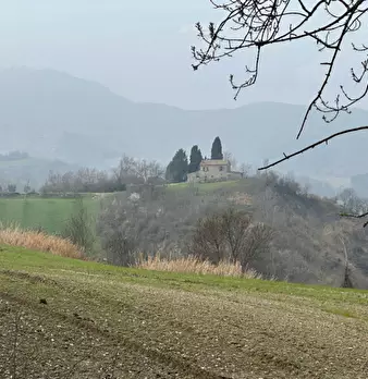 Foto annuncio 14