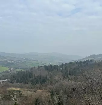 Foto annuncio 17