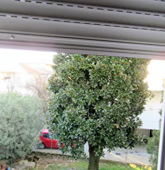 Foto annuncio 36