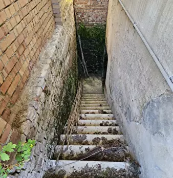 Foto annuncio 11
