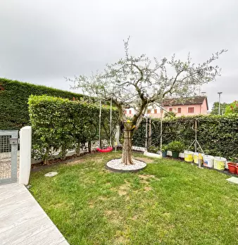 Foto annuncio 5