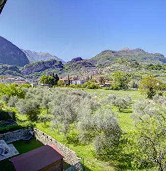 Foto annuncio 18