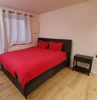 Foto annuncio 11