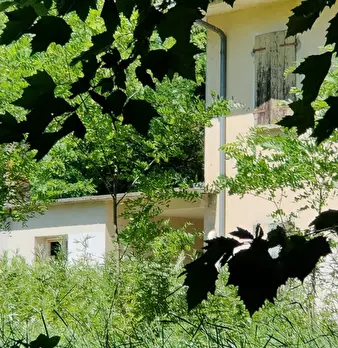 Foto annuncio 6
