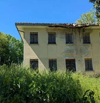 Foto annuncio 7