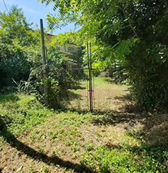 Foto annuncio 11