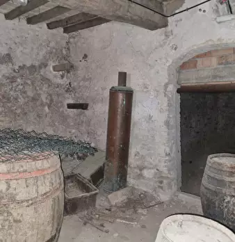 Foto annuncio 12
