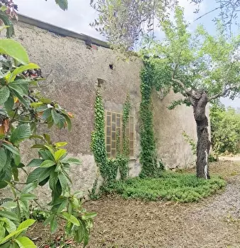 Foto annuncio 7